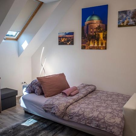 Zsuka Apartman Free Parking Pécs Buitenkant foto