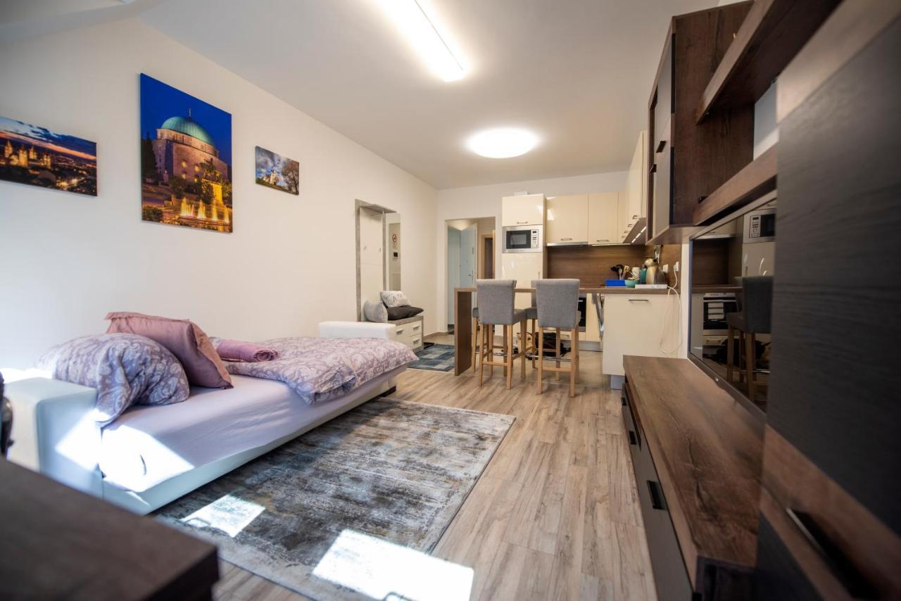 Zsuka Apartman Free Parking Pécs Buitenkant foto